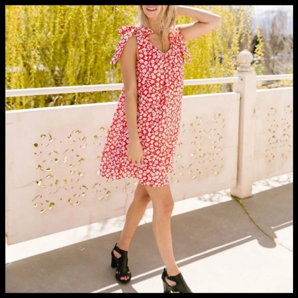 Dash of Pink Dress